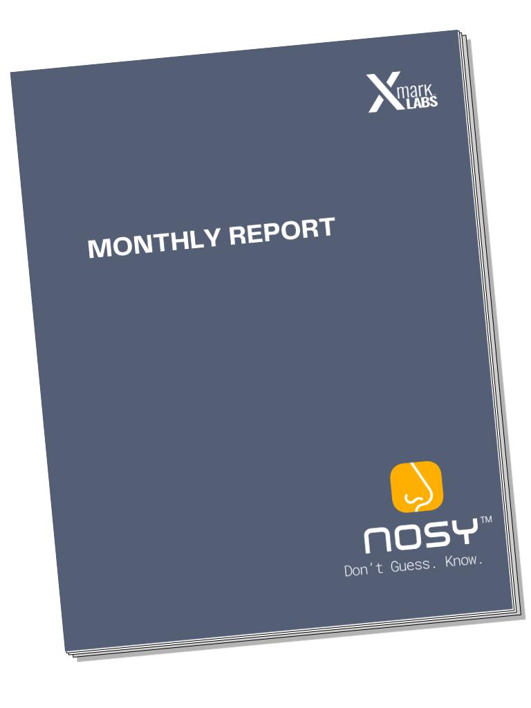 An image of a monthly building report
