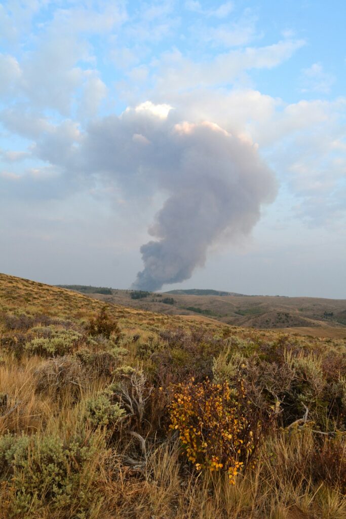 The Impact of Wildfires on Air Quality: Understanding the Consequences and Solutions